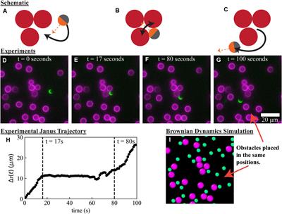 Porous Media Microstructure Determines the Diffusion of Active Matter: Experiments and Simulations